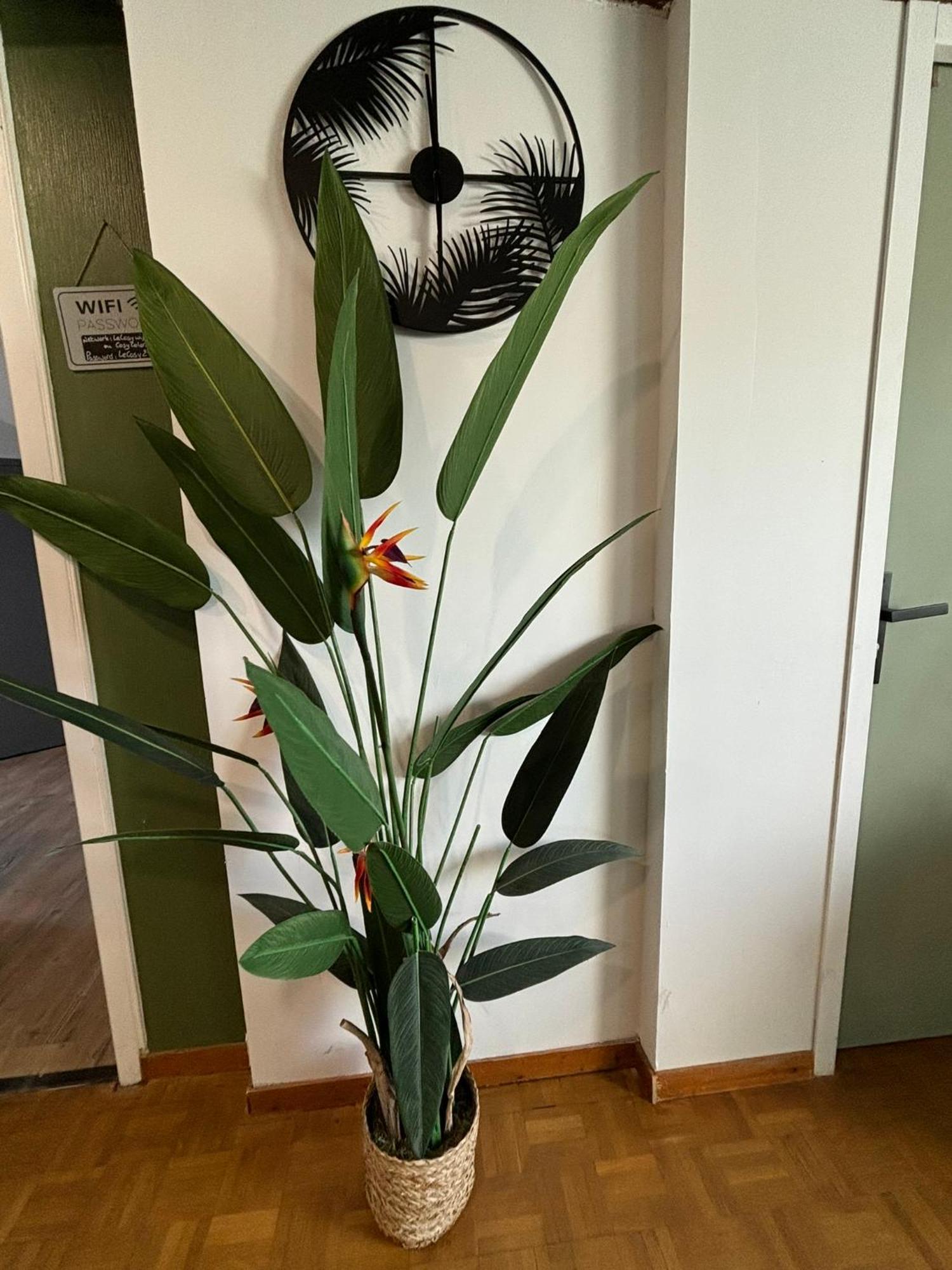 卢维耶Jungle Cosy公寓 外观 照片
